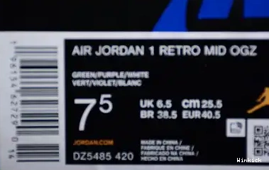 OG Williamson Low Jordan 1 x Zion “Voodoo”DZ5485-420 Air 0622